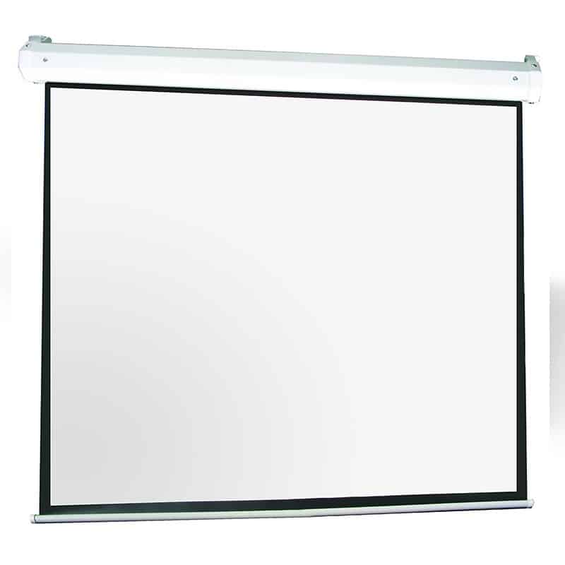 portable projector screen pull up