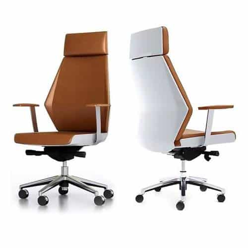 Director Executive Chair, Front and Rear View