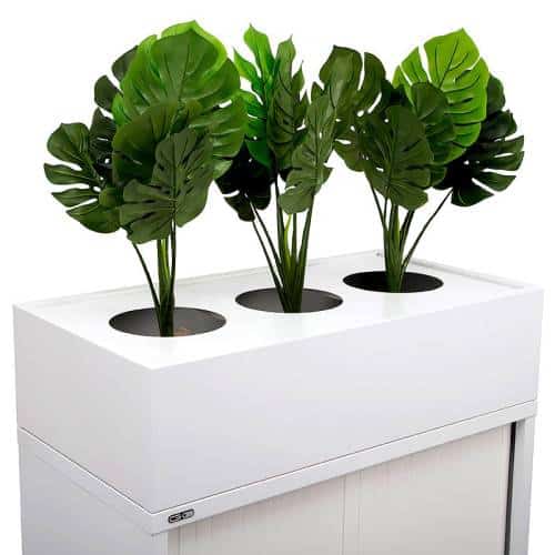 Super Strong Planter Box | plant box | planter boxes for sale | office planter