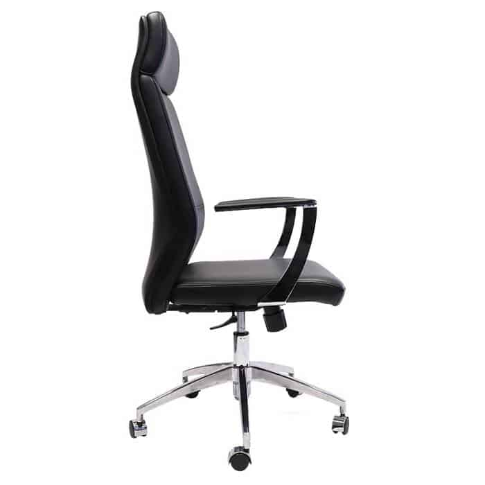 Vanessa Pro High Back Chair, Side View