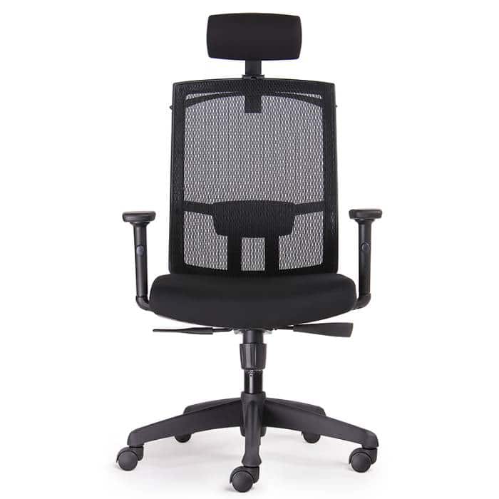 High Back Chair with Headrest