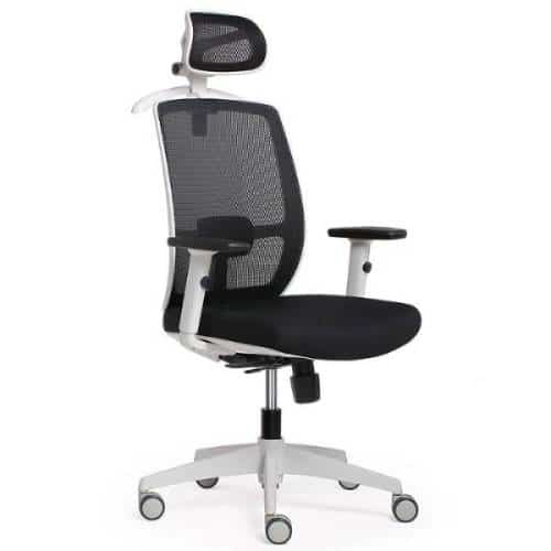 Executive Office Chairs