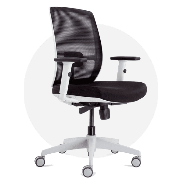 Ergonomic Office Chairs