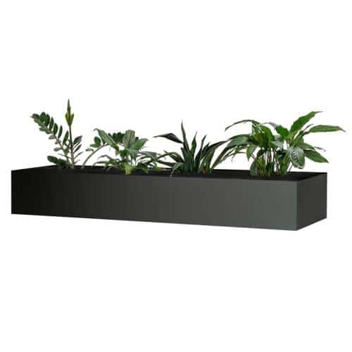 Black plant box