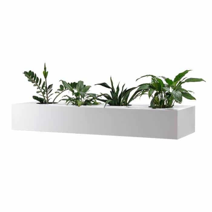 White Plant Box